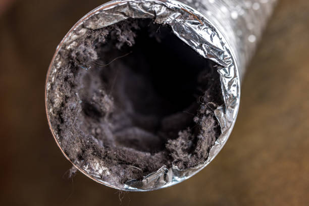 Best Air Duct Cleaning Near Me  in Oakwood Hls, IL